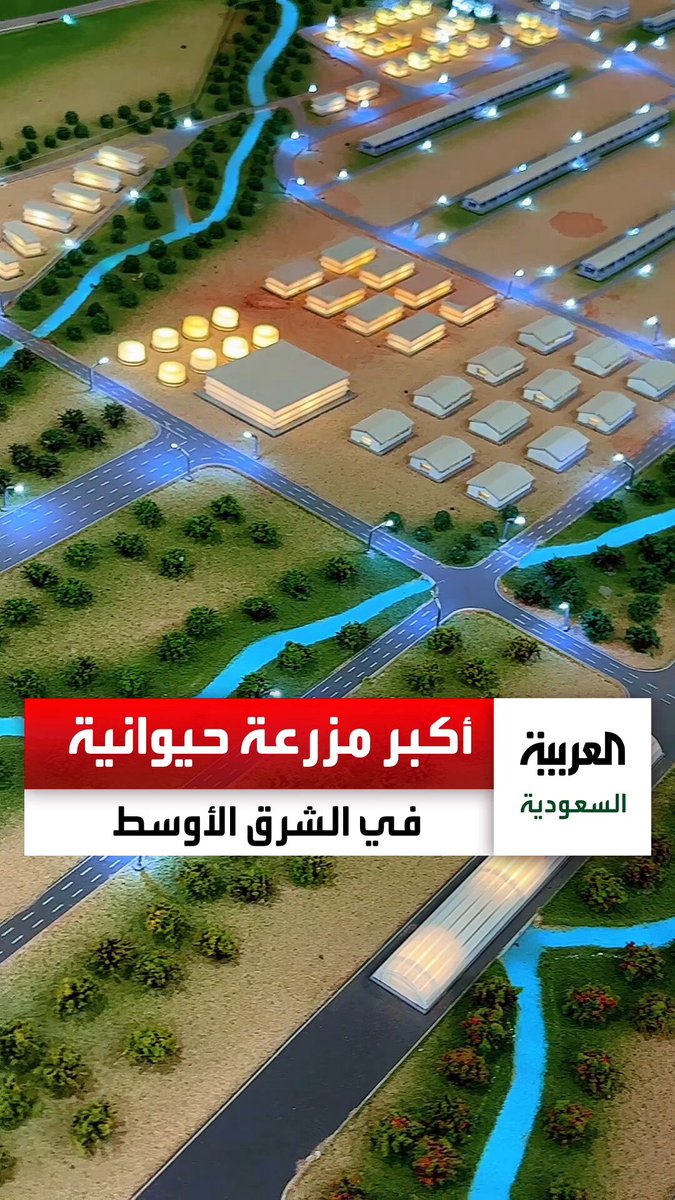 صناعة اللحوم في القصيم... مصنع سعودي فريد من نوعه يساهم في تحقيق الأمن الغذائي من خلال أكبر مزرعة حيوانية في الشرق الأوسط. عبر 