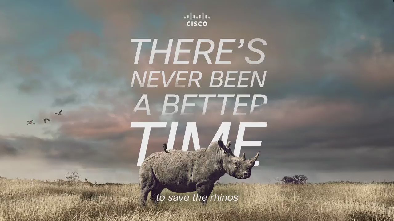 Better times are coming. Better times are coming. Better times are coming. Better times are coming. Better times are coming.