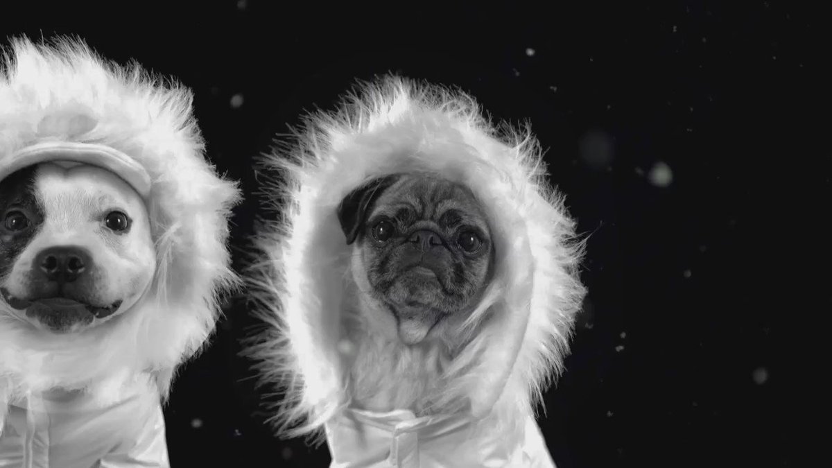 catch the all the best selling christmas songs over on our mtvxmas channel - Best Selling Christmas Songs catch the all the best selling christmas songs over on our mtvxmas channel - Best Selling Christmas Songs