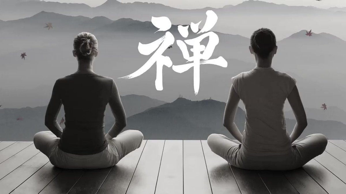 1 2 Switch Zen Footage 1 2 Switch Zen Footage