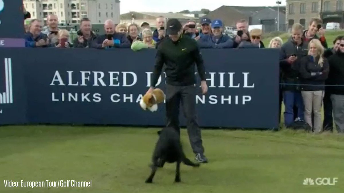 Photos: Professional golfers and their canine companions -    #NationalPuppyDay https://t.co/J6mbygmerX