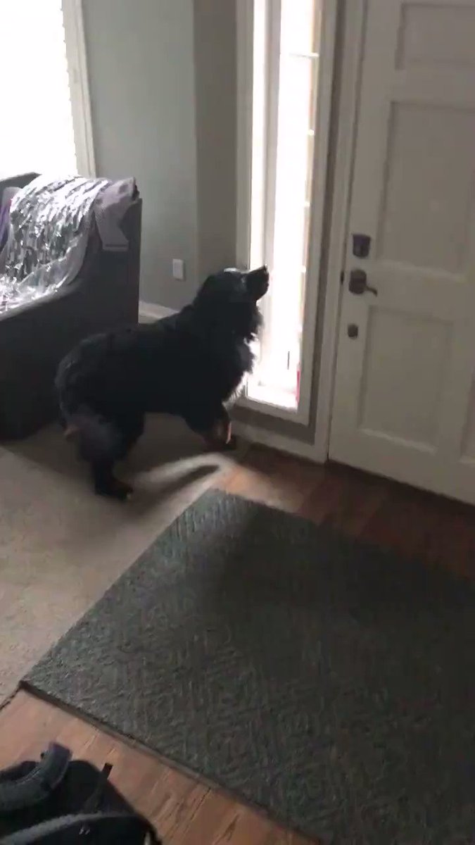 David Apps DavidApps Twitter