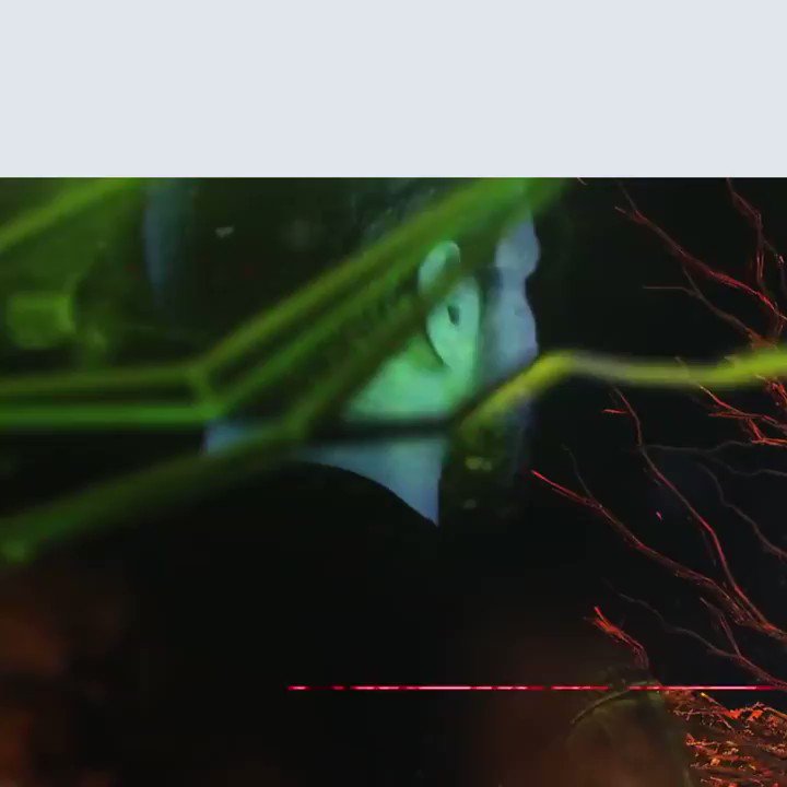 Happy Birthday to the incredibly talented Sam Roberts of  Have a great day! 