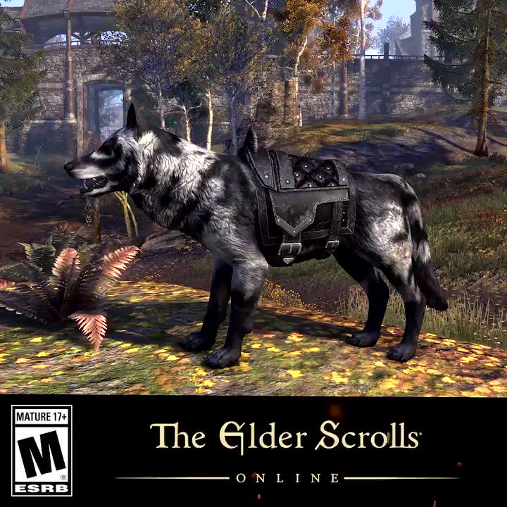 Ghost (Online), Elder Scrolls