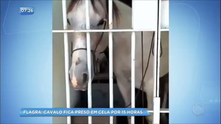 O vídeo do Twitter está carregando