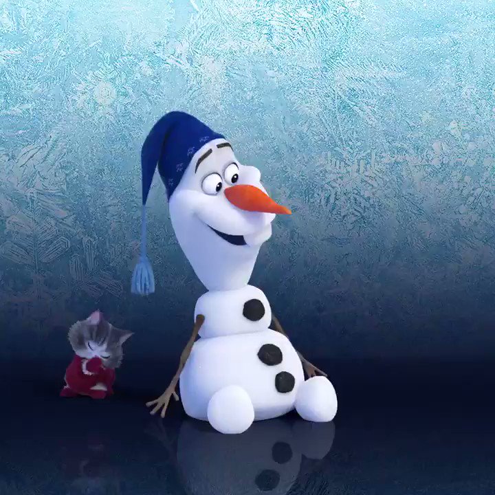アナと雪の女王 家族の思い出 猫の種類や名前は ぬいぐるみも可愛い ハッピのブログ