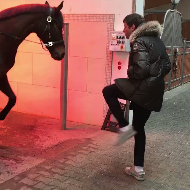 #Müllered² 😅🐎 https://t.co/wbO58qjZU4