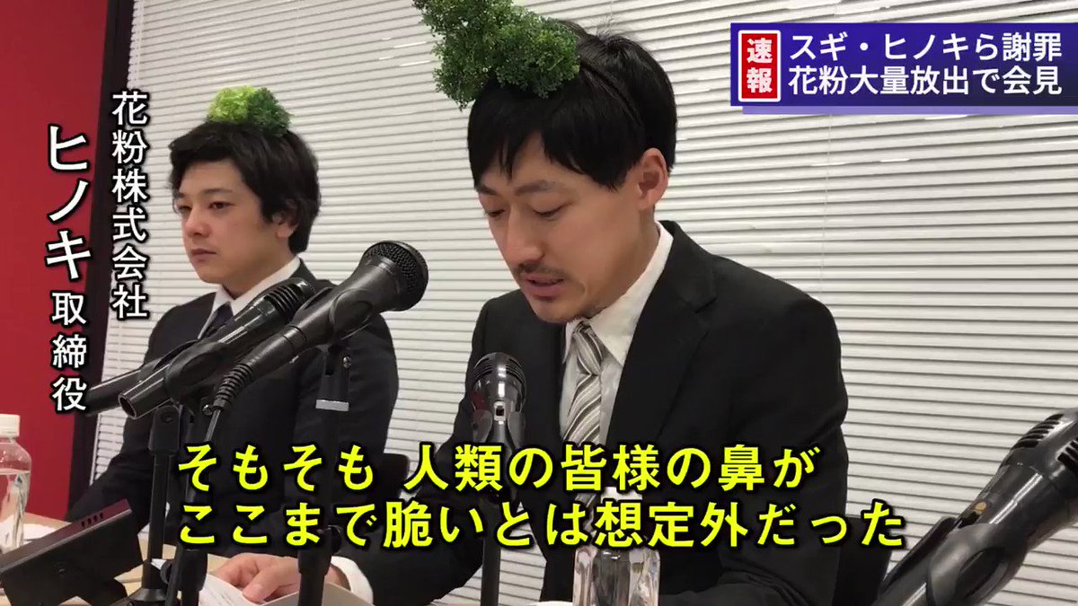 国民の怒りが爆発！！！スギやヒノキが花粉症のクレームで謝罪会見ｗｗｗ
