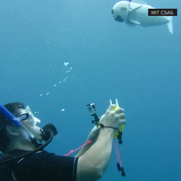 What Engineers Intend To Do With A Newly Developed Fish Robot “Sofi”