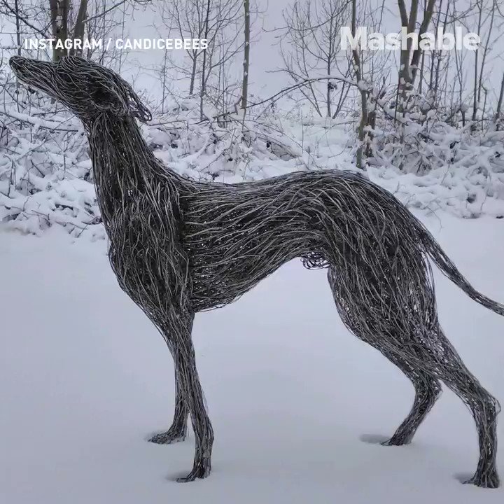 These metal animal sculptures are so realistic, you may need to do a double take