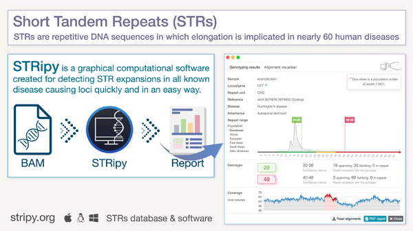 jsantoyo's tweet card. Software for easy detection of disease causing short tandem repeat expansions