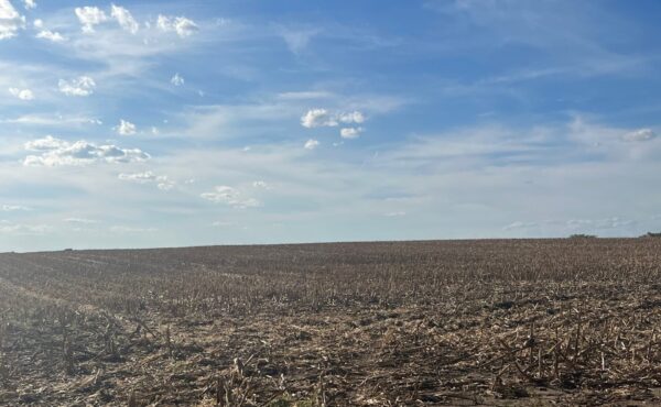 BRNAgNews_Brent's tweet card. Farmers and landowners in Iowa have had mixed reactions to Governor Kim Reynolds’ veto of a bill that would have limited the use of eminent domain for carbon pipelines. “Eminent domain is not good...