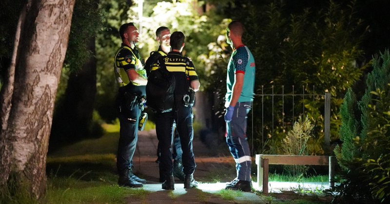 Diefstal met geweld in Beerta