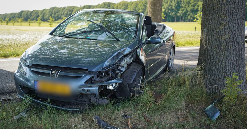 Cabrio botst tegen boom in Nieuwlande