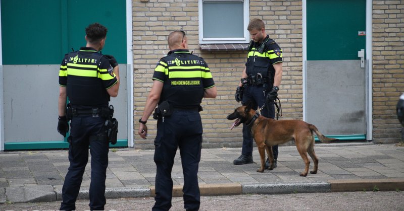 Politie inzet na woninginbraak Willem Dreespark