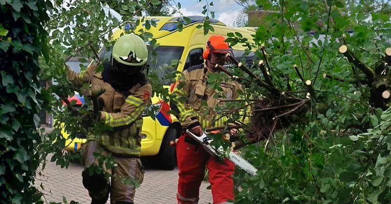 Ambulance ontsnapt aan vallende boom in Hardenberg