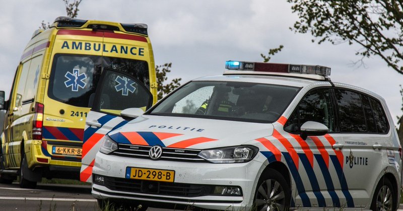 Auto te water: hond overleden