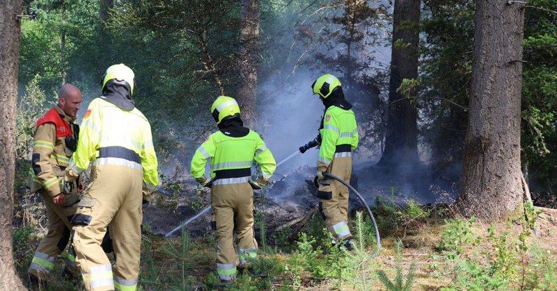 Grote inzet brandweer bij bosbrand