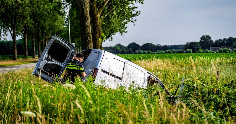 Bestelbus ramt verkeersbord en eindigt in de sloot, bestuurder gewond