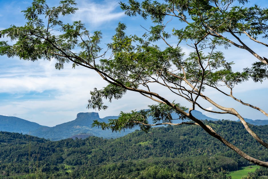 devopsninj4's tweet card. --- Introduction: Traveling with Respect and Responsibility In recent decades, ecological tourism—also known as eco-tourism—has emerged as a though...