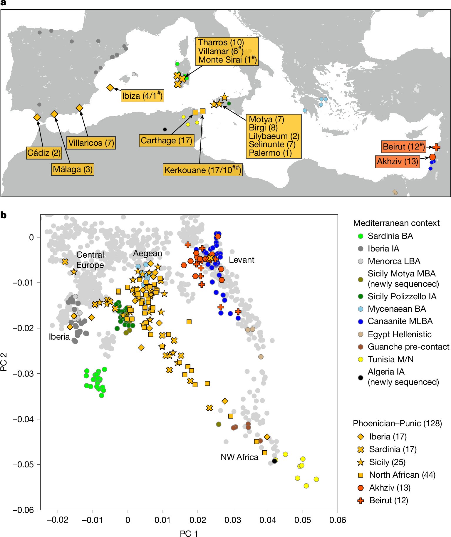 MarcHaber's tweet card. Nature - Levantine Phoenicians made little genetic contribution to Punic settlements in the central and western Mediterranean between the sixth and second centuries bce; instead, the Punic people...