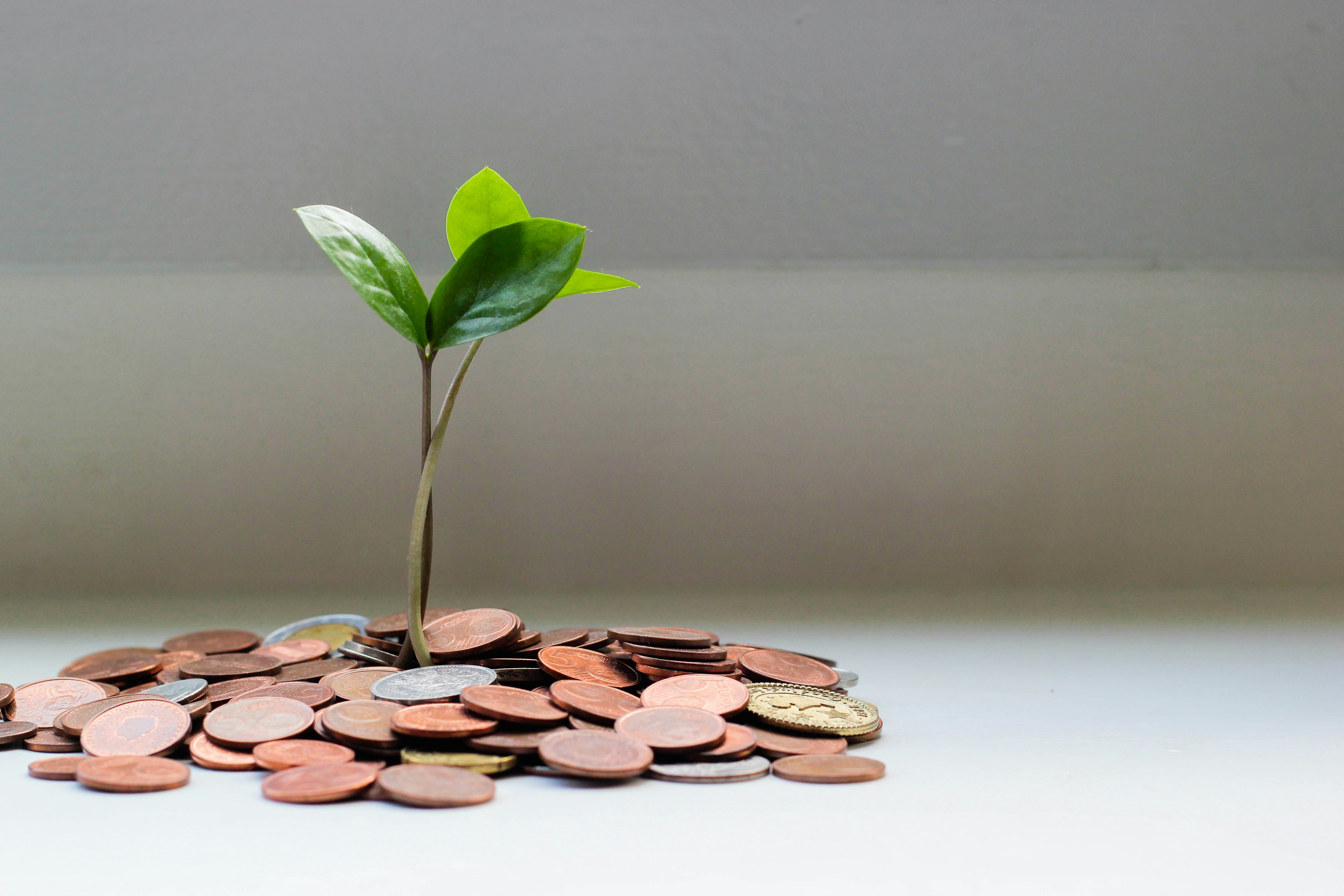 CatoCMFA's tweet card. Crowdfunding is on to something by widening the pool of potential investors and lowering the costs to raise capital. Further reforms could build on its success by making crowdfunding more fair for...