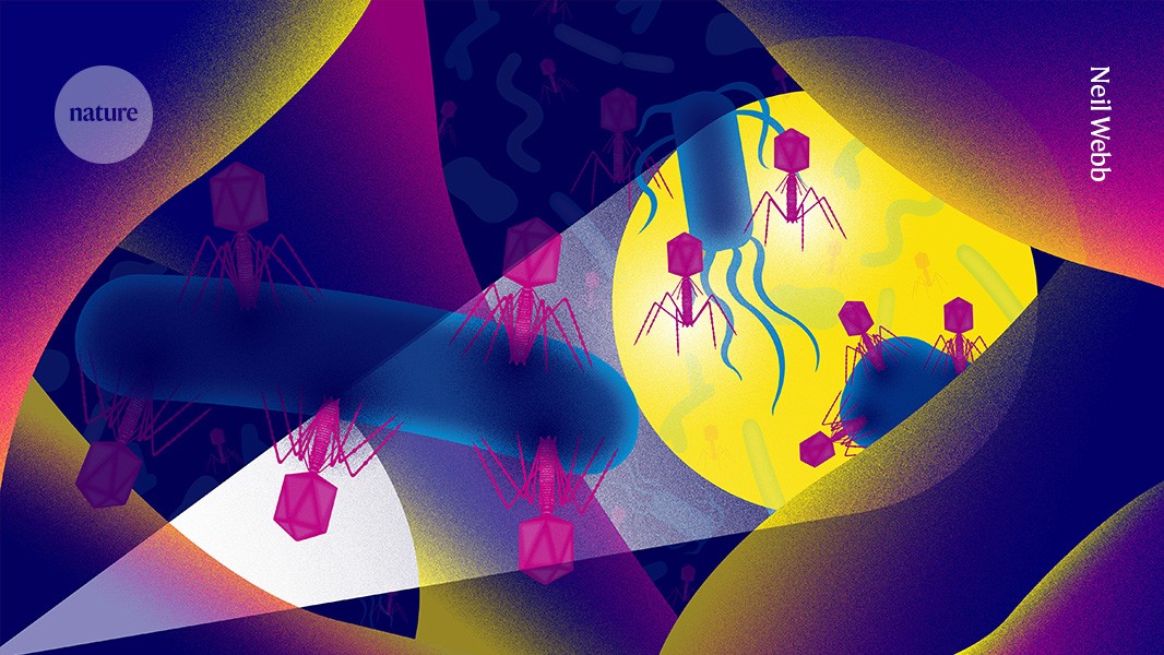 UCCGenetics1's tweet card. Nature - Viruses known as bacteriophages are difficult to study, but they are beginning to give up their secrets.