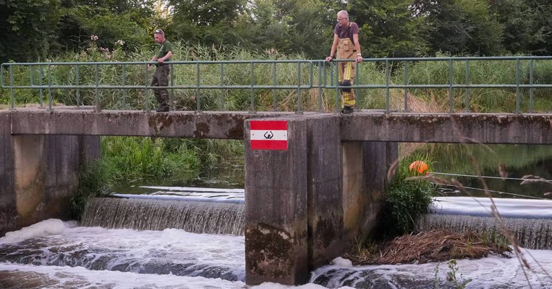 Brandweer zoekt naar hond in kanaal
