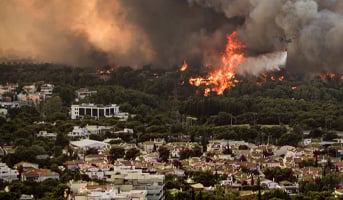 Goku's tweet card. Help provide humanitarian and pet aid to those impacted by wildfires in Southern California.