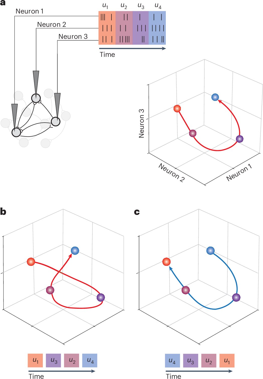neuroamyo's tweet card. Nature Neuroscience - Oby, Degenhart, Grigsby and colleagues used a brain–computer interface to challenge monkeys to override their natural time courses of neural activity. They found the...