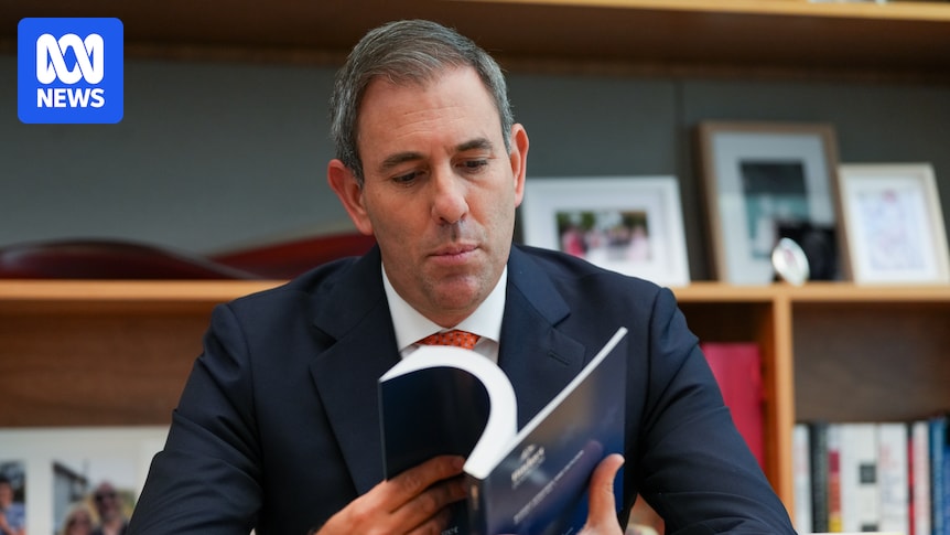 BarbaraPocock's tweet card. A series of subheadings accidentally sent to the ABC by Treasury reveals extensive detail about its frank advice to the re-elected Albanese government. 