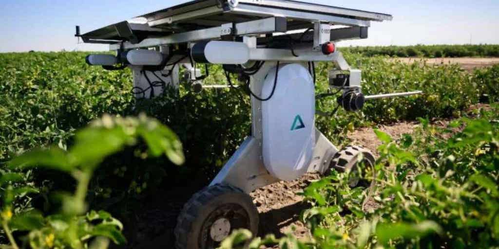 FoxNewsAI's tweet card. Aigen's Element robot uses solar power and AI to provide farmers with a sustainable alternative to herbicides, working efficiently in cotton and soy fields.