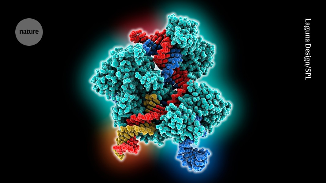 YaleGenetics's tweet card. Nature - Immune-cell function improved in a teenager whose DNA was altered using prime editing.