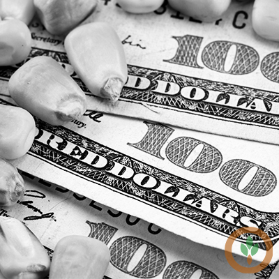 BRNAgNews_John's tweet card. Soybeans were lower on profit taking and technical selling. There was good rainfall over the weekend in some key growing areas. The USDA says 68% of soybeans are good to excellent, down 2% on the...