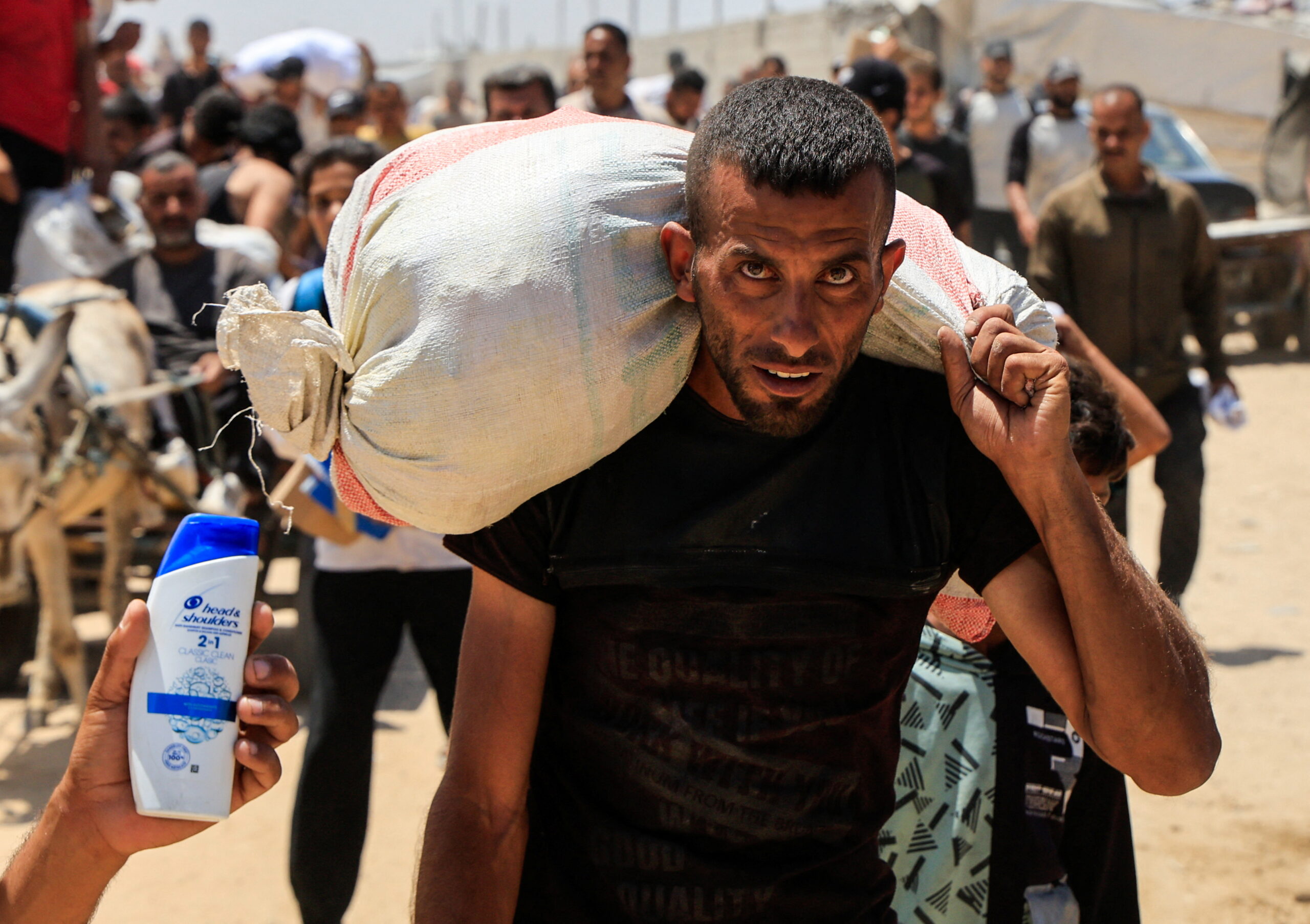 OffThePress1's tweet card. Twenty-five countries have released a joint statement calling for the immediate end of the war in Gaza and accusing Israel of not allowing sufficient aid in, demanding it must do so to comply with...