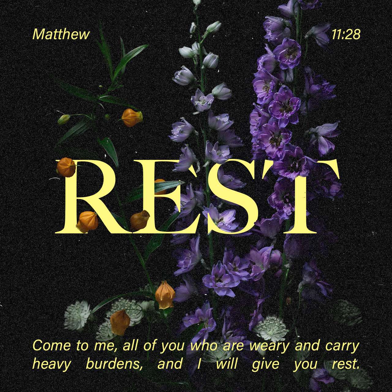 woahhvickyyy's tweet card. “Come to me, all of you who are tired from carrying heavy loads, and I will give you rest.