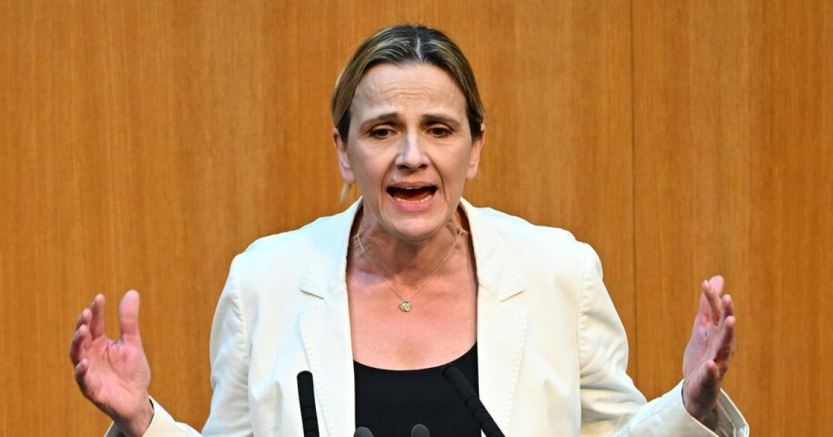 CStrohal's tweet card. FPÖ-Mandatarin Dagmar Belakowitsch sorgte im Nationalrat mit einem Zwischenruf für massive Empörung.