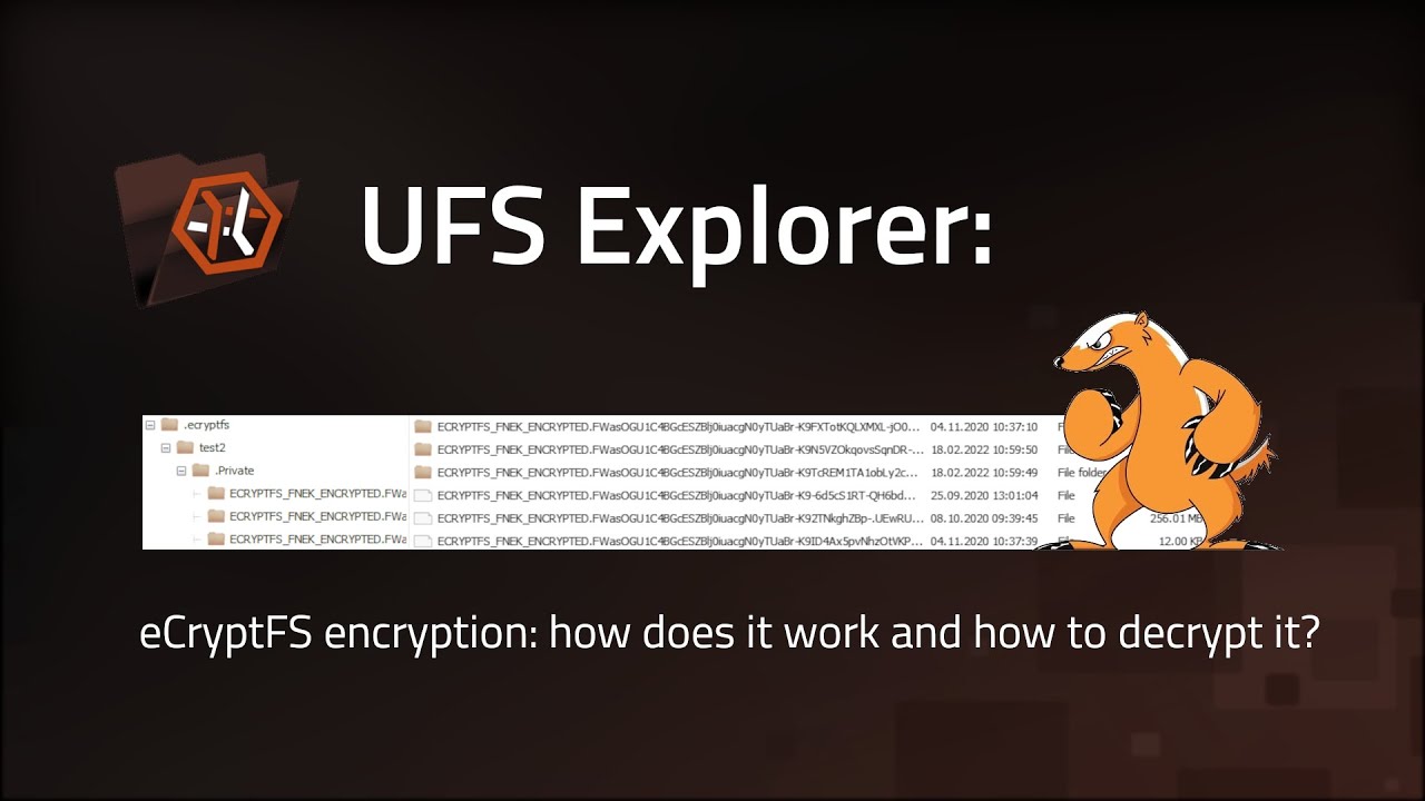 SysDevLab's tweet card. Decryption of eCryptFS-encrypted files with UFS Explorer