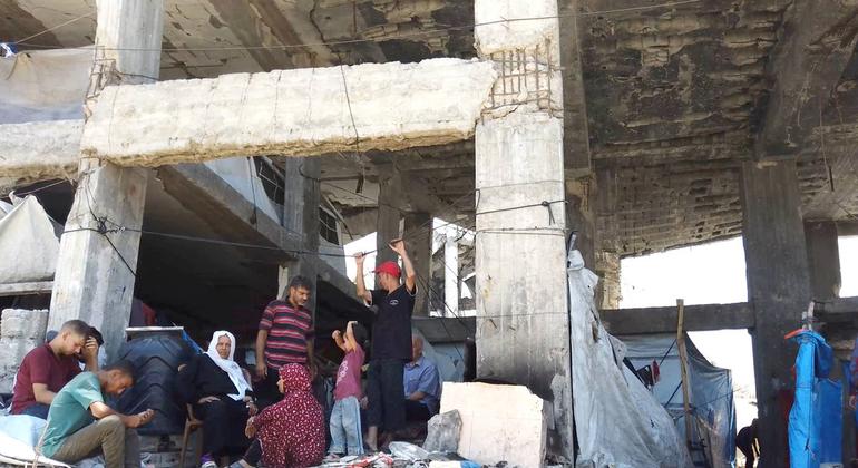 KenRoth's tweet card. Hadriya collapses from hunger, Khadija dreams of her kitchen and Hiyam longs for her daughters’ laughter in the garden – these are the stories of three women from Gaza who embody the daily struggles...