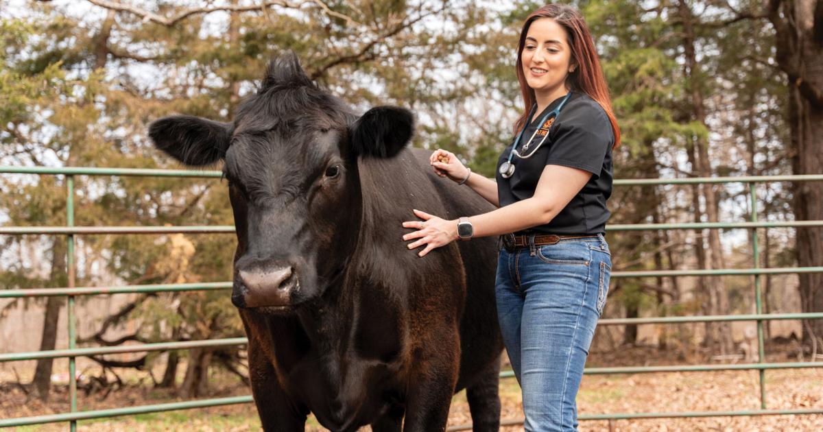 FarmTalkNews's tweet card. Concerns about a shortage of rural veterinarians have been discussed across agriculture for many years. A recent assessment report produced by the Farm Journal Foundation for the Kansas Department of