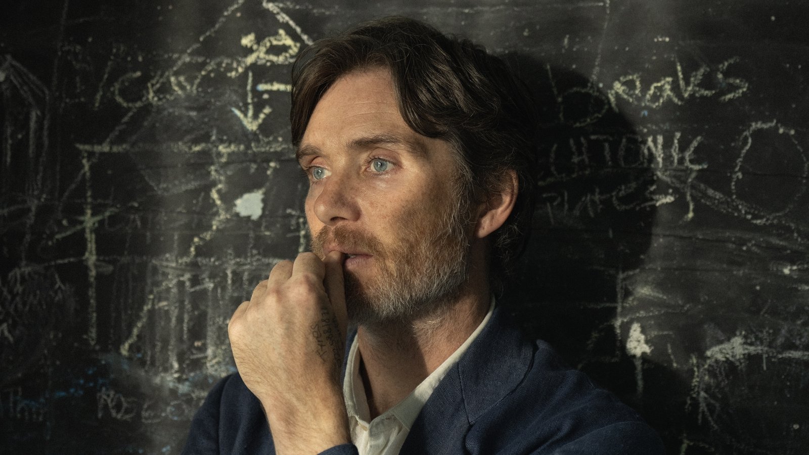 RTE_Ents's tweet card. The Cillian Murphy-starring Steve is to receive its world premiere at the Toronto International Film Festival (TIFF) in September, where it will compete as part of the festival's Platform programme.