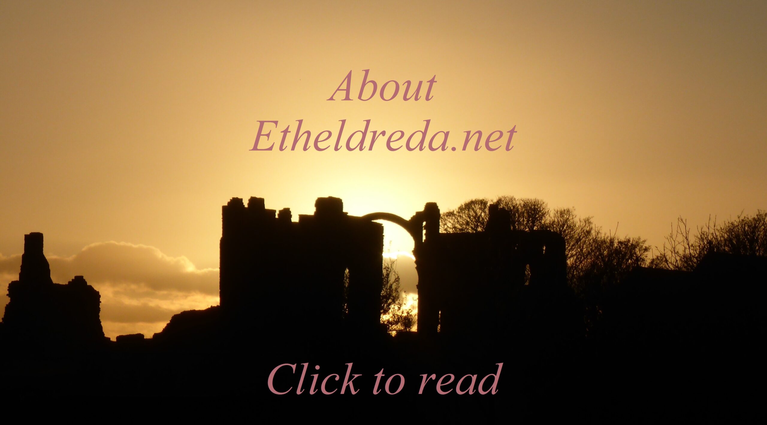 etheldredanet's tweet card. About combining puritan expository technique with monastic lectio divina and a medical way of thinking to look at scripture as medicine for the soul.