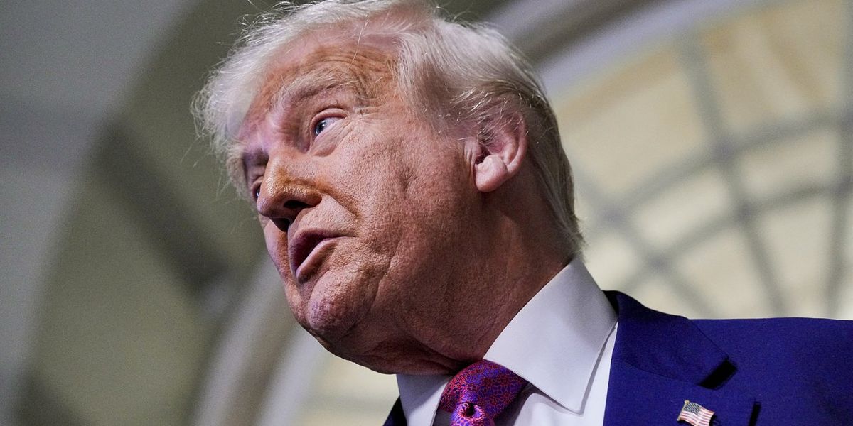RawStory's tweet card. President Donald Trump argued that a GOP budget bill should help only Republican states instead of benefiting Democratic governors."We're going to make a couple of tweaks," Trump said of his "one big...