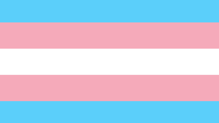 limonalspaces's tweet card. My friend Zayn is a queer trans man living in South Lebanon. Prior to the threa… Rue Flowers needs your support for Help a trans man escape war in his country