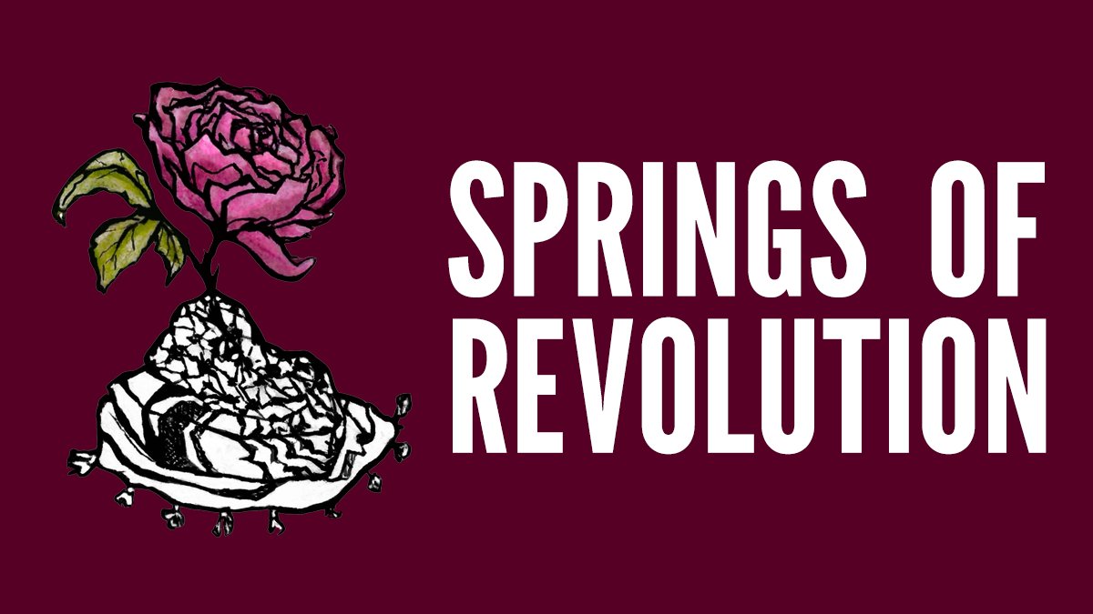 SOR4DSA's tweet card. Transforming DSA into a mass revolutionary political force!