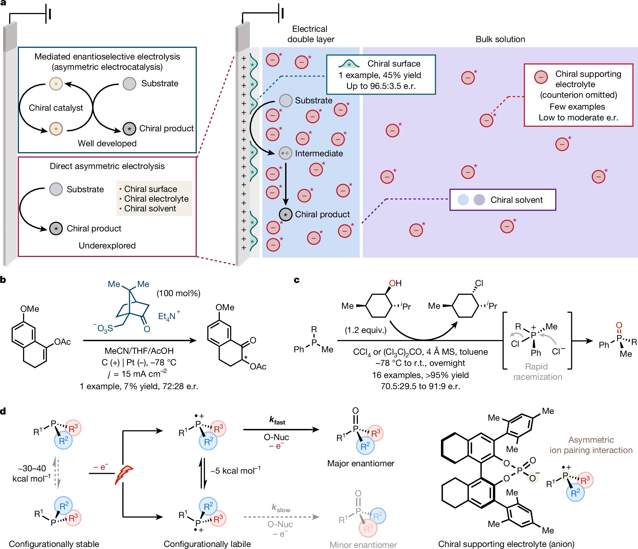 Nature's tweet card. Nature - Using a dynamic-kinetic-resolution strategy and chiral phosphate salts as supporting electrolytes, racemic trivalent phosphines can be oxidized to afford enantioenriched phosphine oxides.