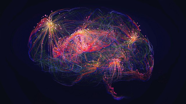 PDN_Cambridge's tweet card. Scientists have identified previously unknown neural modules in the brain that control movement and adapt during skill learning. Their findings challenge long-held ideas about how the brain organizes...