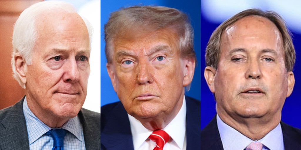 bridgetbhc's tweet card. Cornyn may be facing his toughest Senate re-election fight yet in a primary against state Attorney General Ken Paxton — and the field could continue to grow.