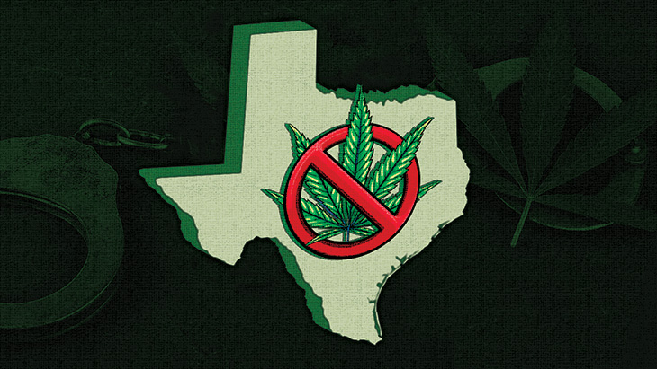NORML's tweet card. 67% of voters approved the measure in November