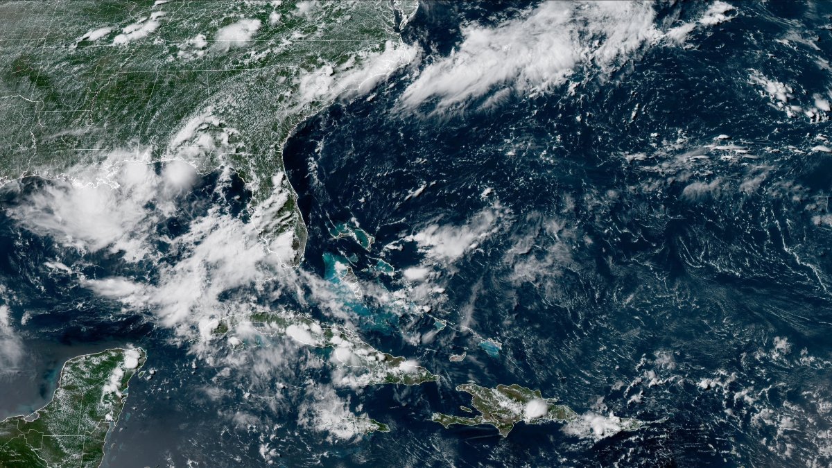 JohnMoralesTV's tweet card. Invest 93L is the label for a disturbance that crossed Florida early in the week and is now hugging the northern Gulf Coast as it drifts westward towards Louisiana. There is a medium chance for it to...